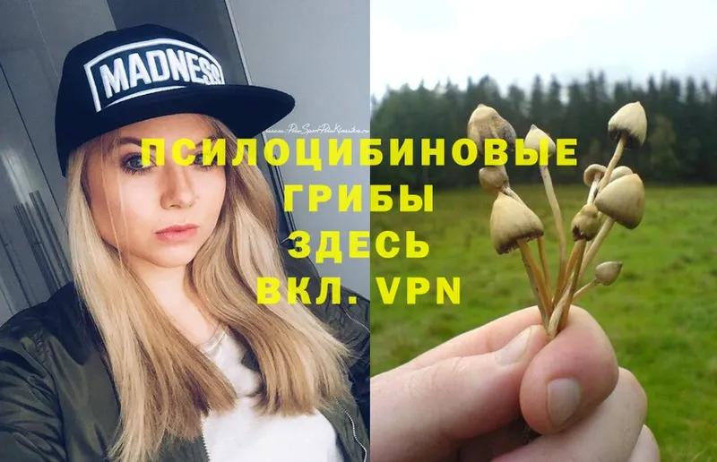 хочу   Алупка  Галлюциногенные грибы Psilocybine cubensis 